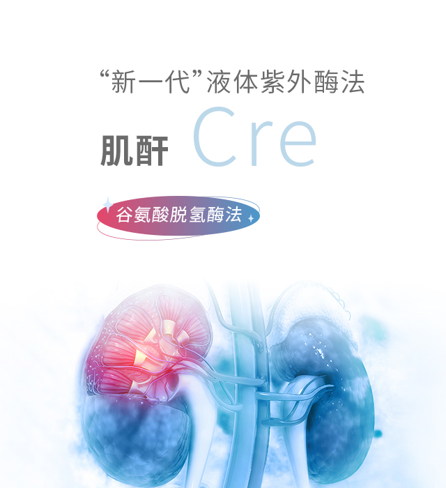 微信图片_20250428131943