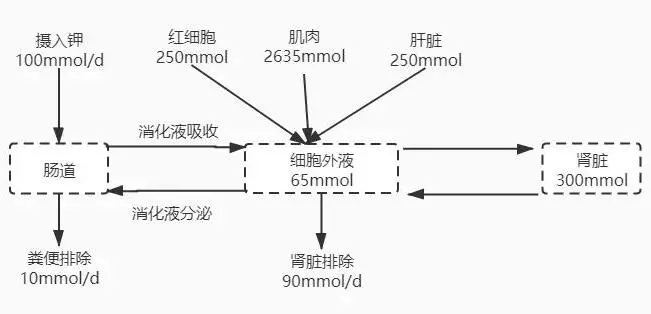 7.webp 7.webp