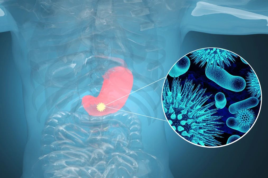 庄闲游戏·(中国区)有限公司官网